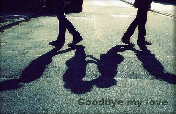 Chuyện muôn thuở ( gấu chó)