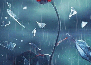 Em vô tình hay anh lụy tình?