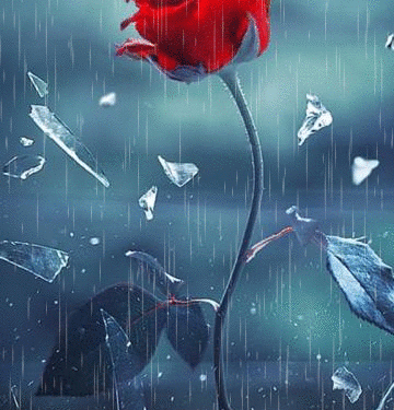 Em vô tình hay anh lụy tình?