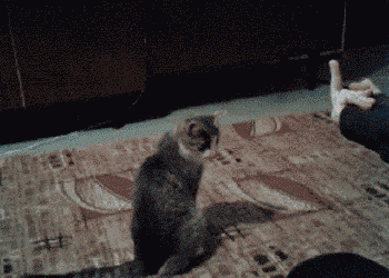 Loạt ảnh khiến cho bạn cảm thấy xui xẻo từ đầu đến chân không sót chỗ nào