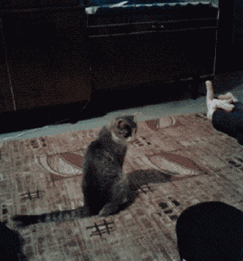 Loạt ảnh khiến cho bạn cảm thấy xui xẻo từ đầu đến chân không sót chỗ nào